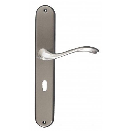 Lever on backplate